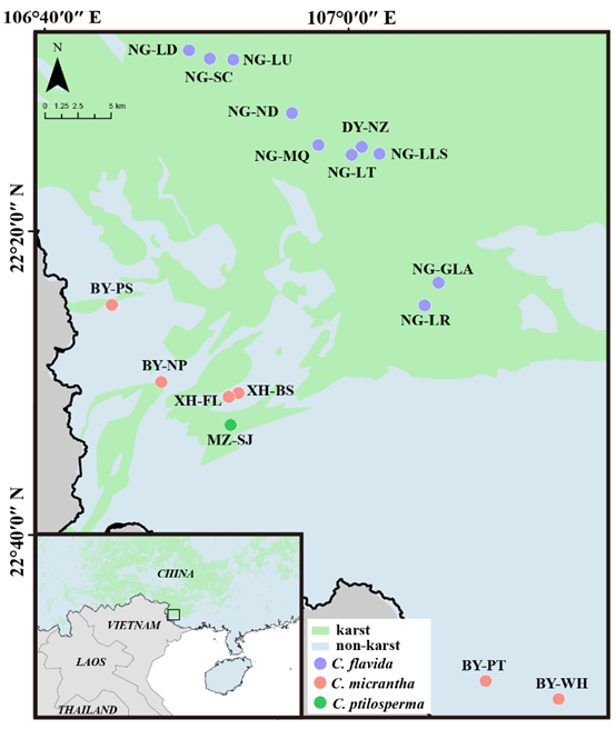 image-20231217003750-3