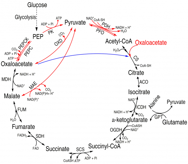 image-20240114150453-1
