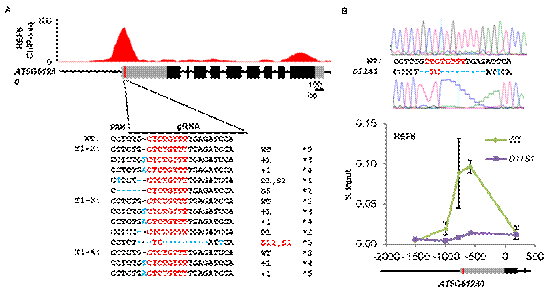 image-20240114154446-1