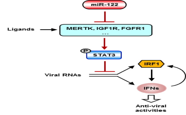 image-20240114210508-1