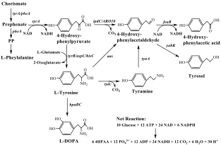 image-20240114211049-1