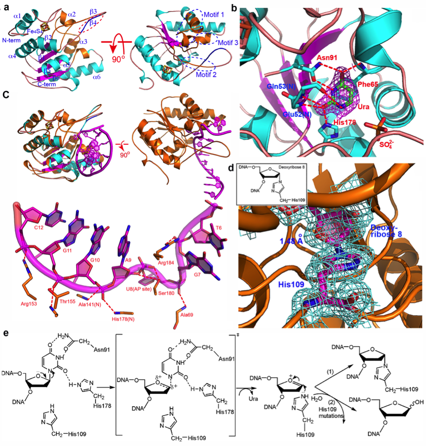image-20240114211435-1