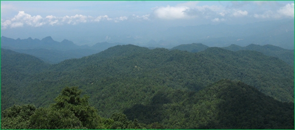 image-20240115000827-1