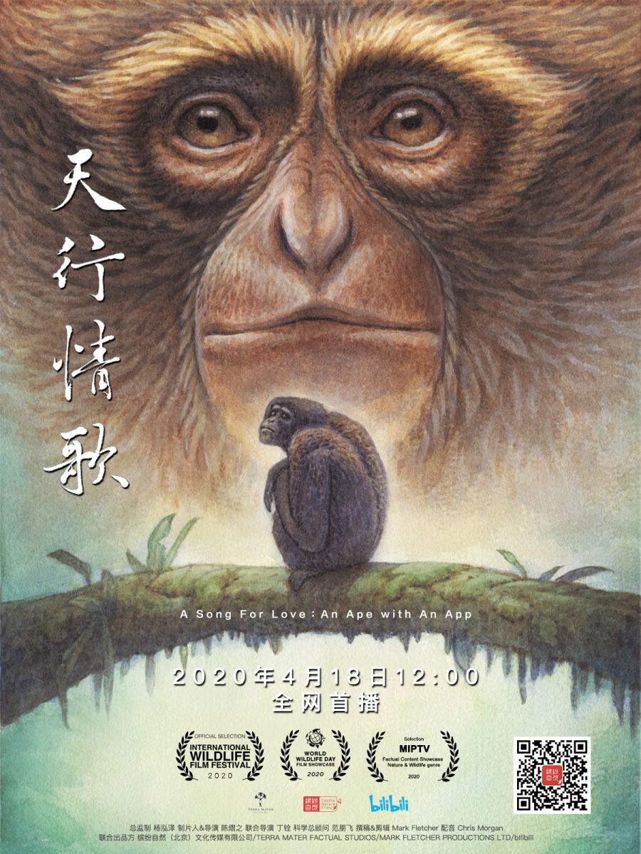 image-20240115154755-4
