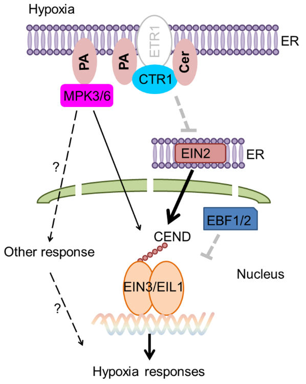 image-20240115173149-2