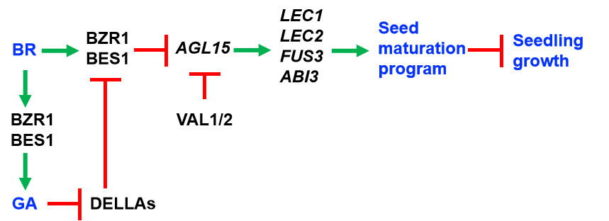 image-20240124004320-2