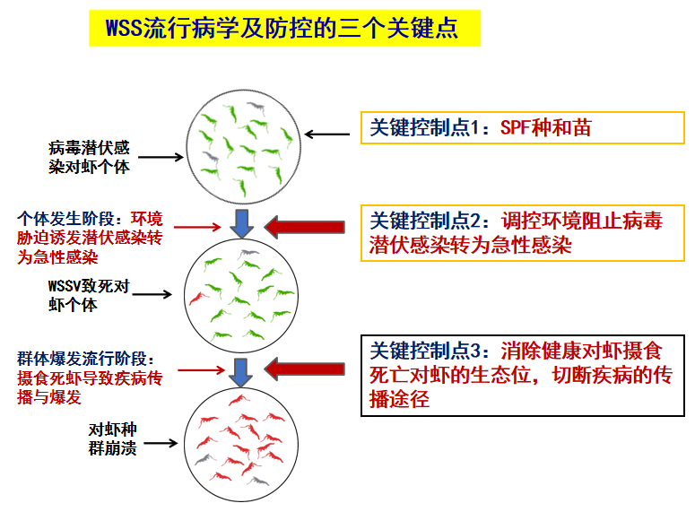 image-20240124005229-2