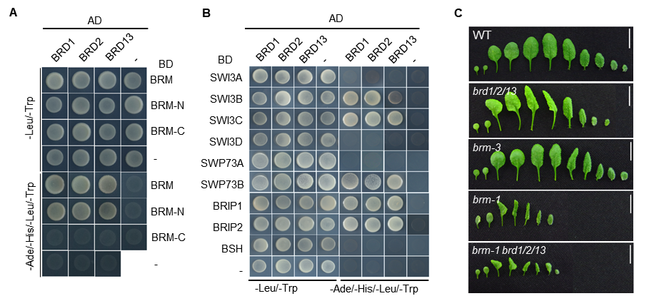 image-20240124005335-1