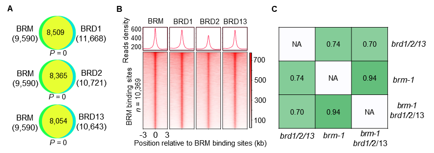 image-20240124005335-2