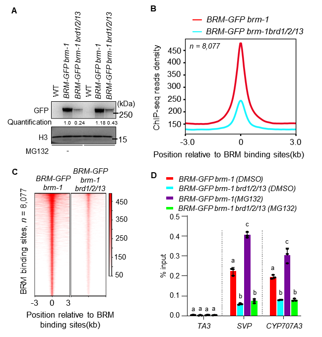 image-20240124005335-3