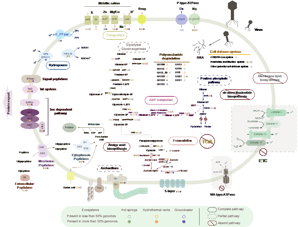 image-20240127233224-2