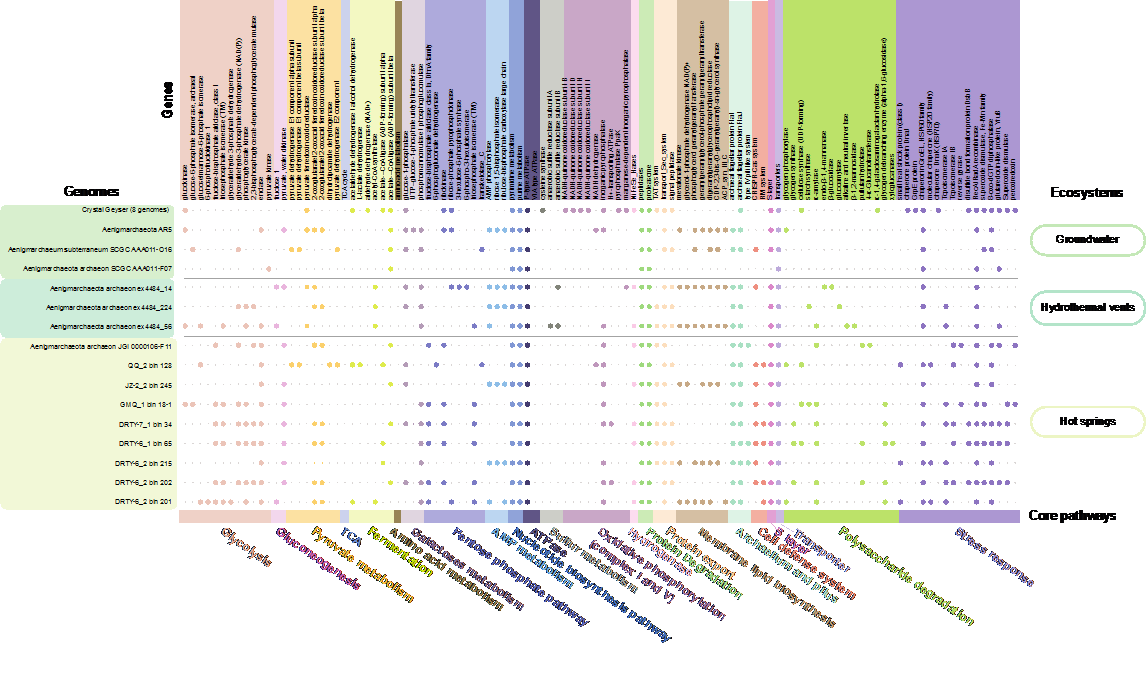 image-20240127233224-3