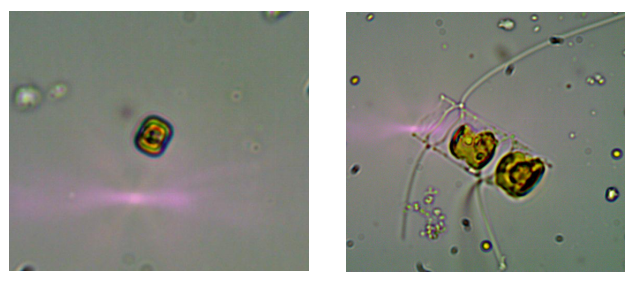 image-20240127235734-17