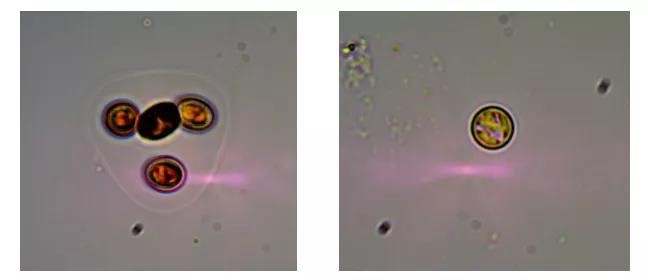 image-20240127235734-18