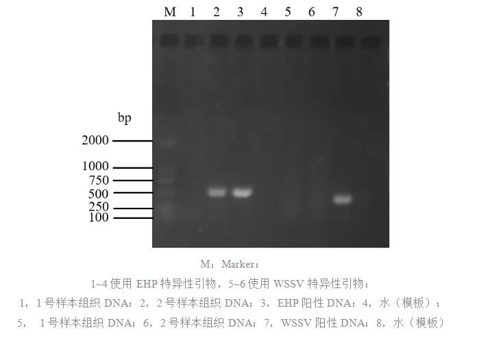 image-20240127235734-24