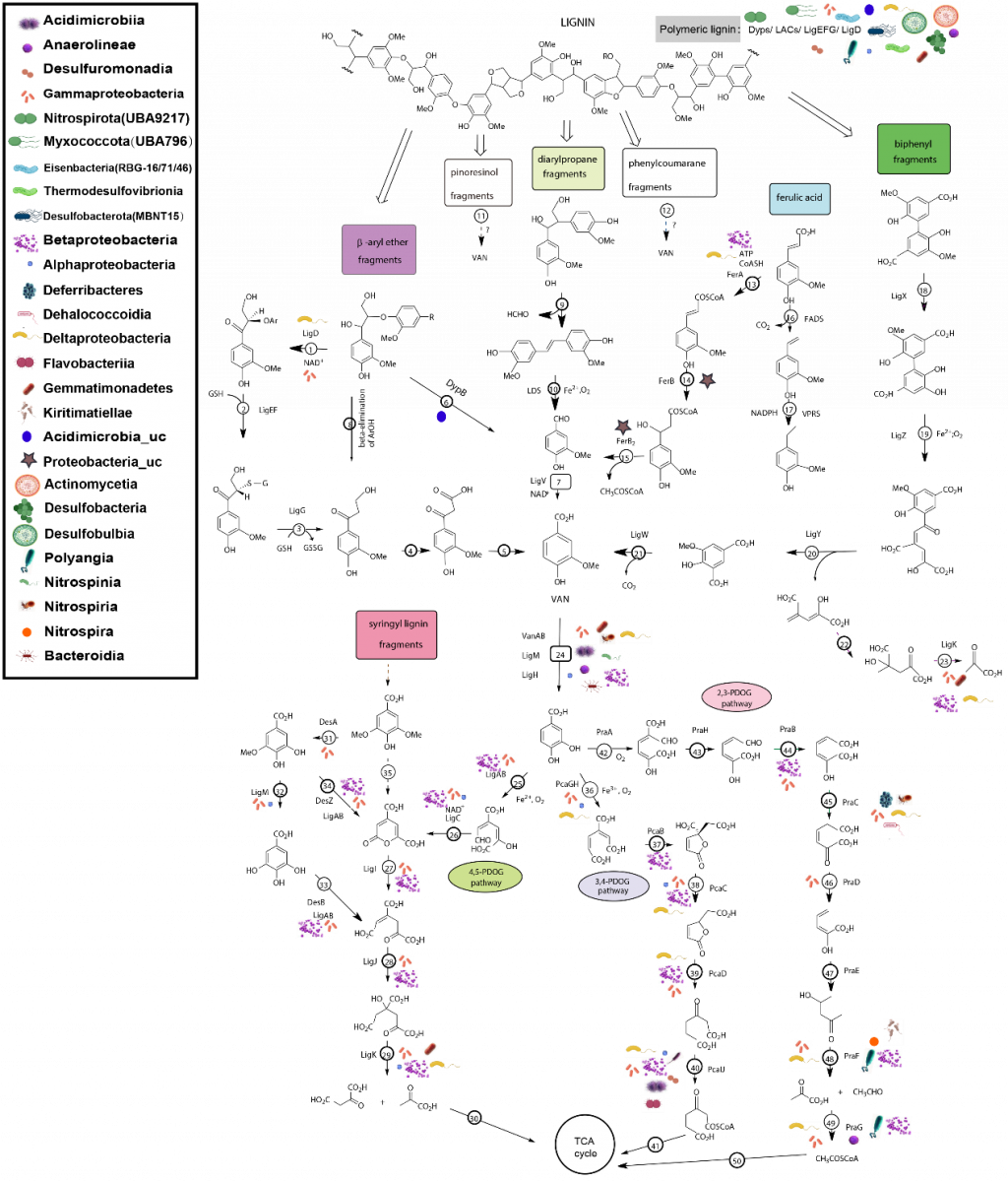 image-20240128235250-3
