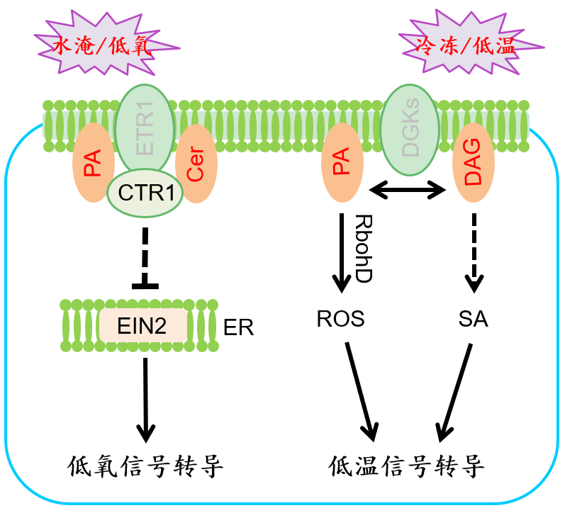 image-20240129000040-2