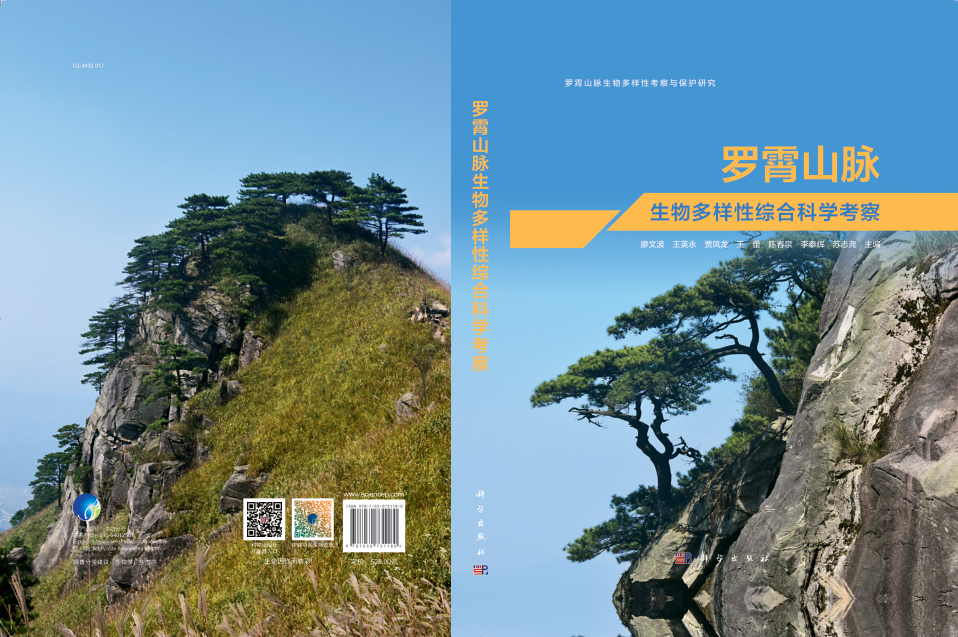 image-20240131230711-1