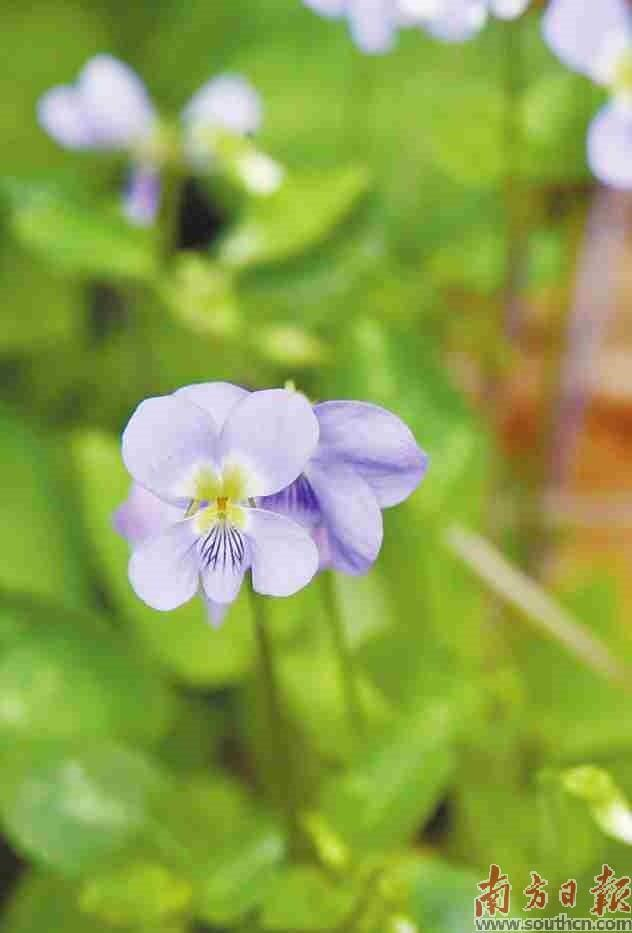 image-20240131230742-2