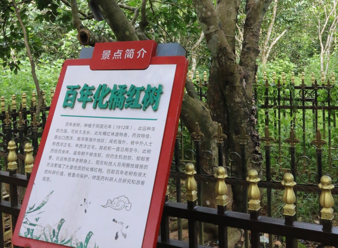 image-20240201203332-5
